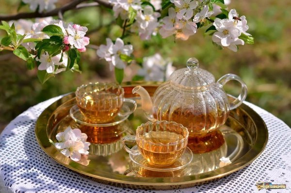 Чай весна