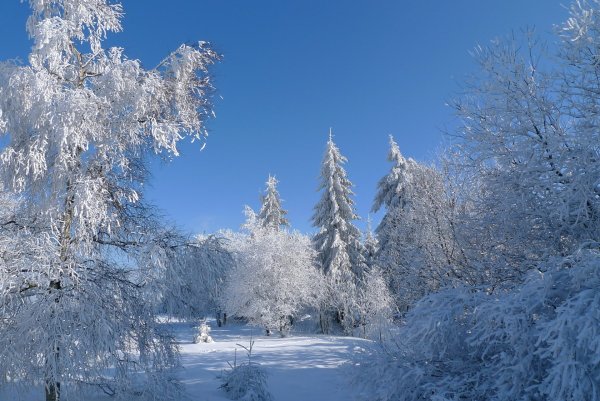 Природа о зиме