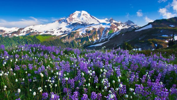 Природы весна горы