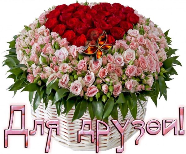 розы букеты шикарные