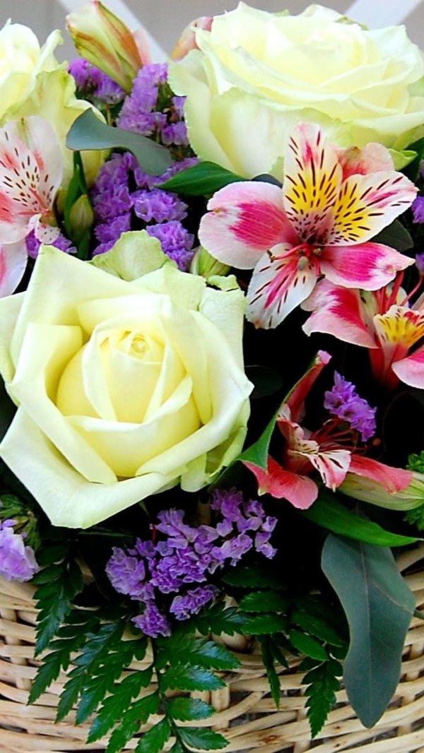 роза аваланж