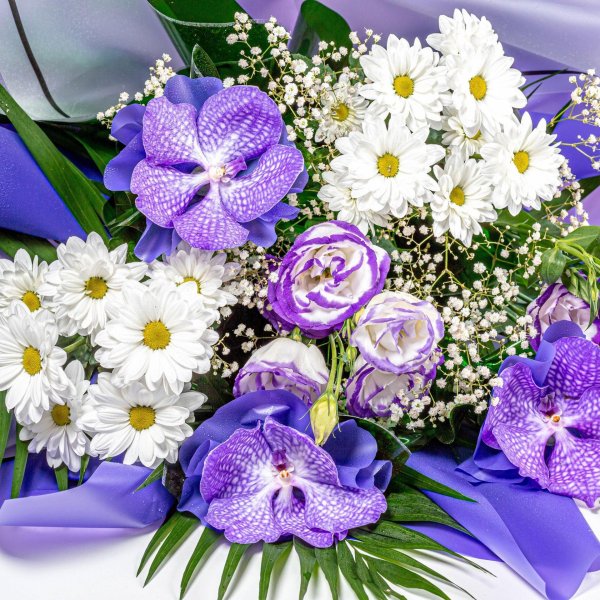 красивая букет