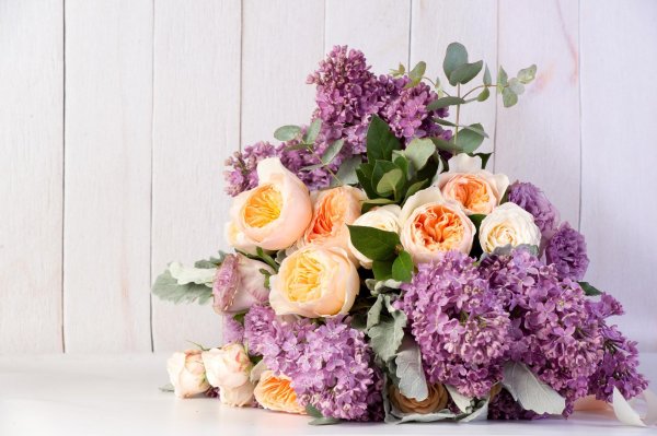 цветы стильные букеты