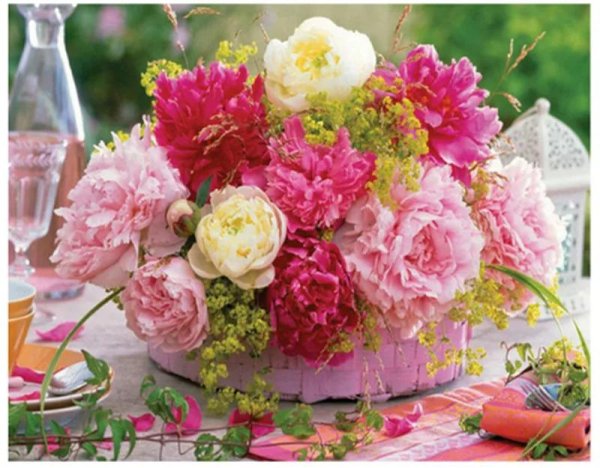 цветок пион