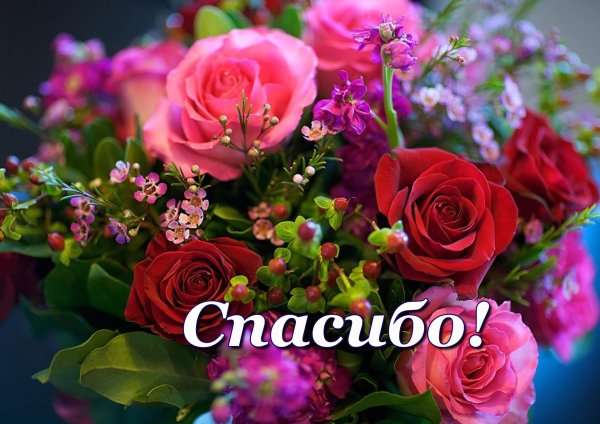 красивое спасибо