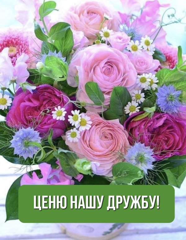 день крепкой дружбы