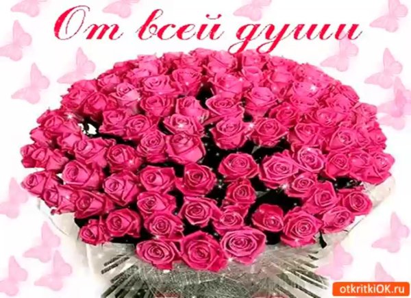 цветы поздравления