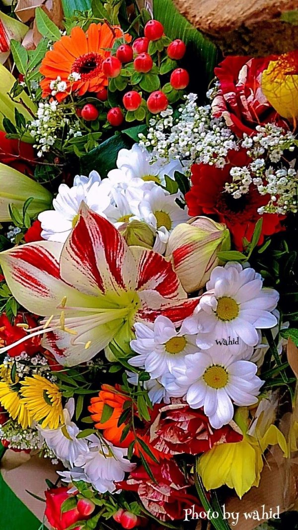 букет красивый