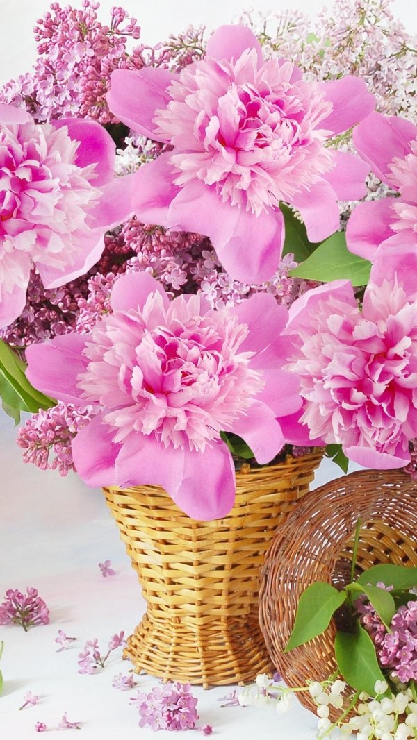 пионы открытка