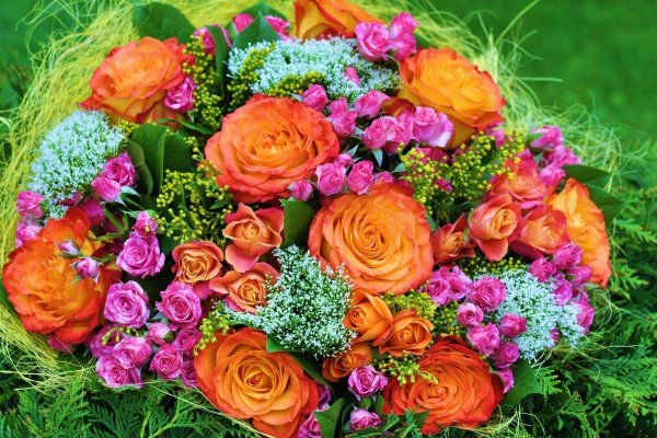 роскошные цветы