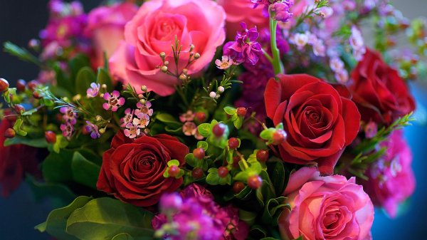 роскошные цветы