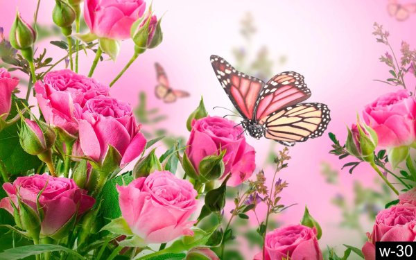 цветочные фоны