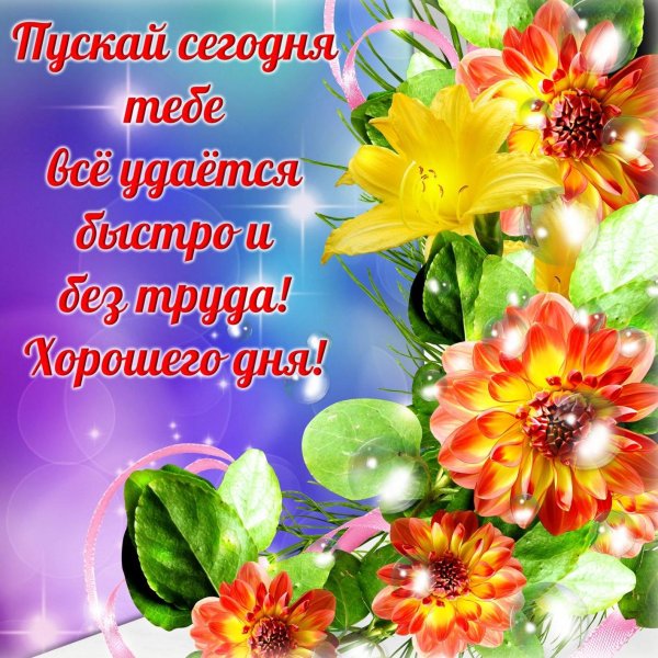 пожелание доброго дня