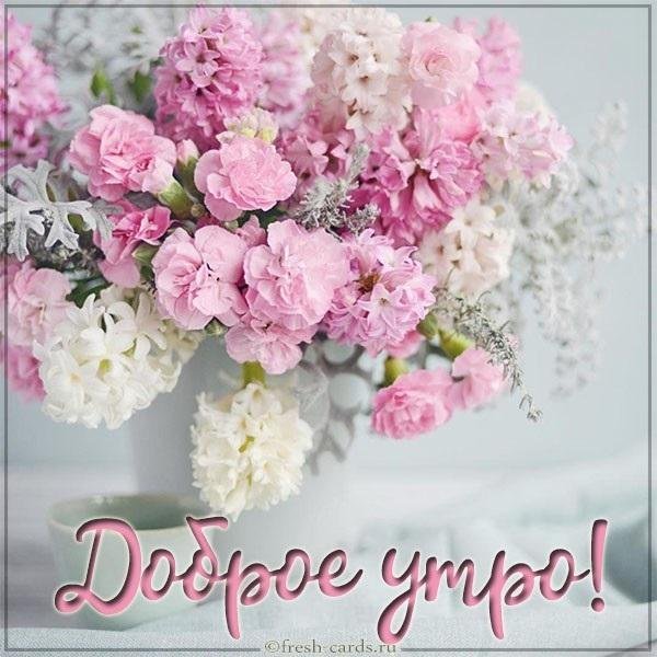 с добрым утром красивые новые