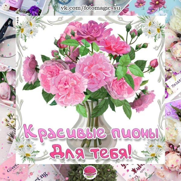 поздравительная открытка