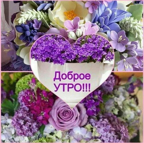 доброго утра мамуля