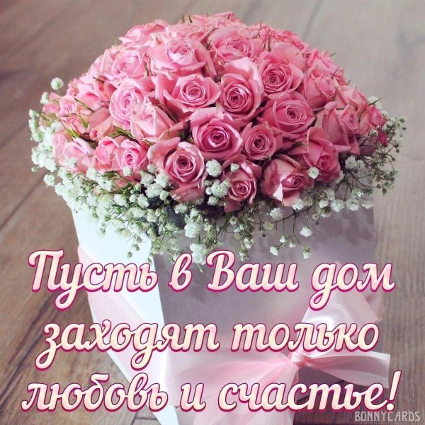 открытки и поздравления