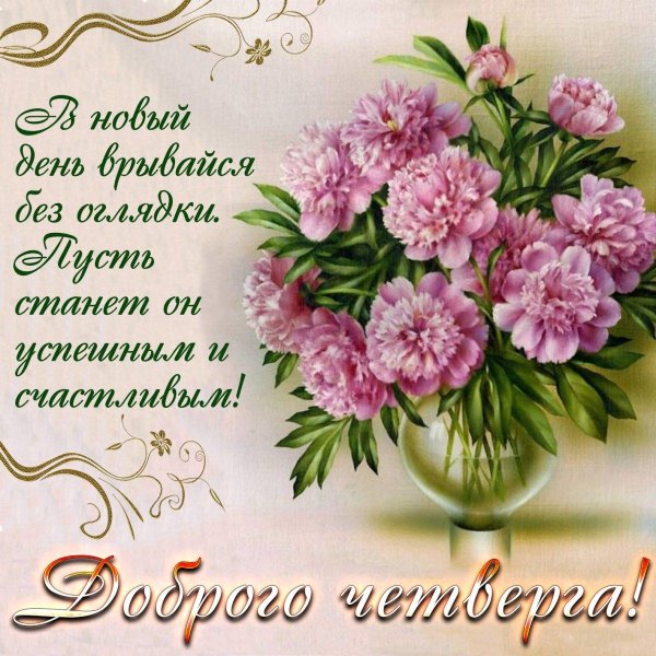 пионы открытка