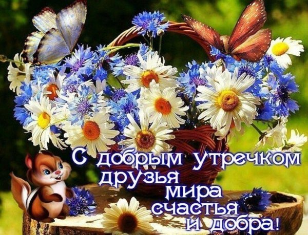 с добрым июльский утром