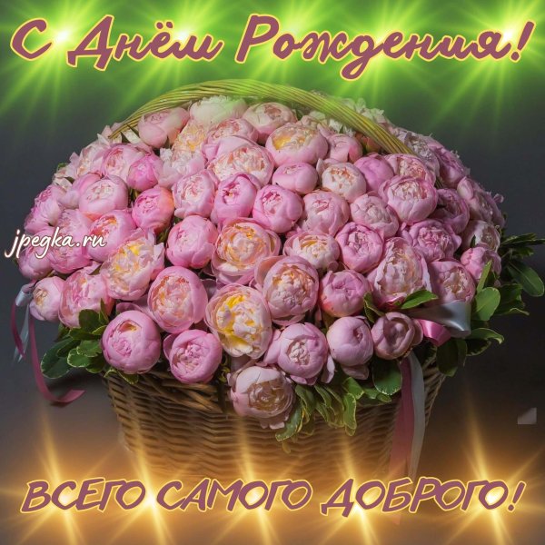 пионы в корзине