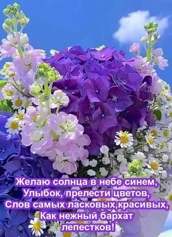 красивая цветок