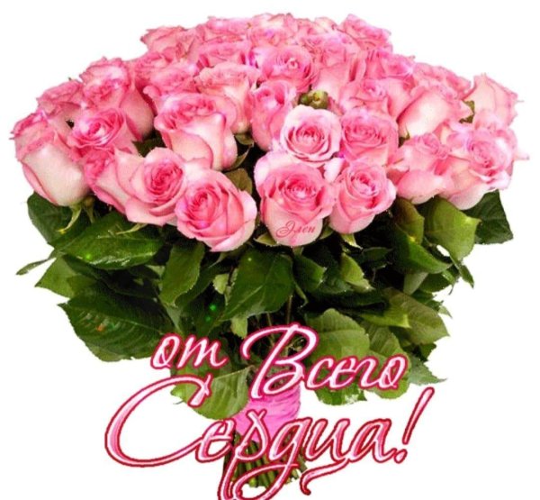 букет красивый роз