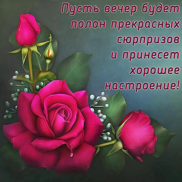 пожелания на вечер женщине