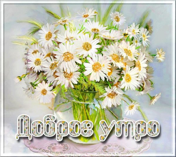 доброго утра с ромашками