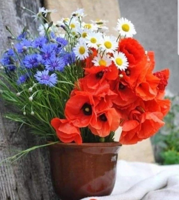 букеты полевых васильков ромашек маков