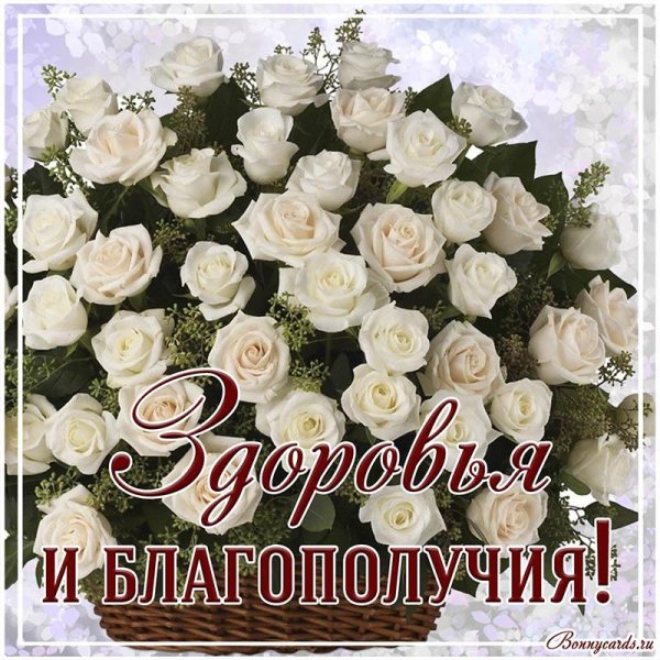 белые розы поздравление