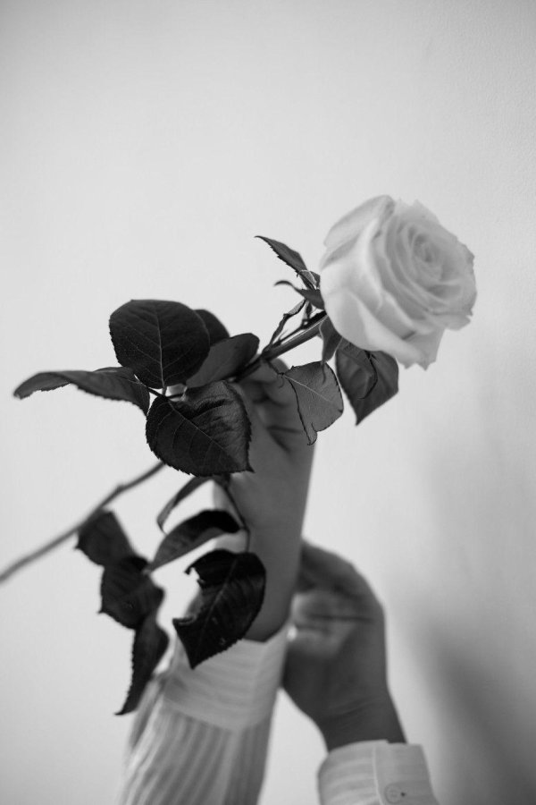 букеты эстетика