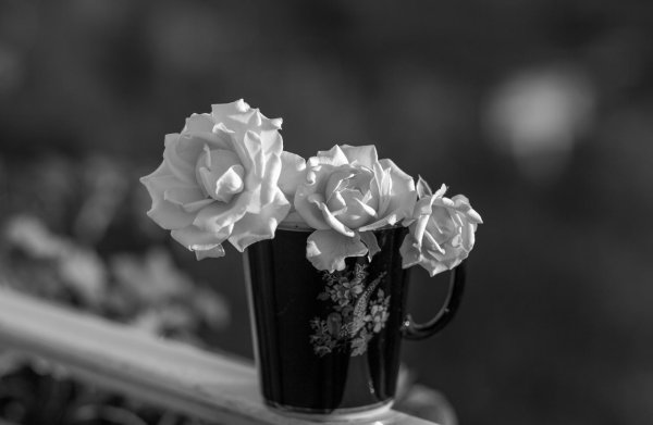 букет черно белый