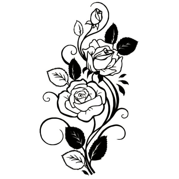 рисунки роз