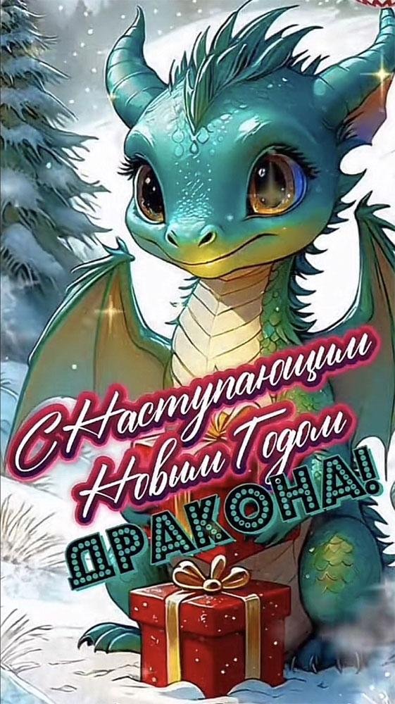 новогодние драконы