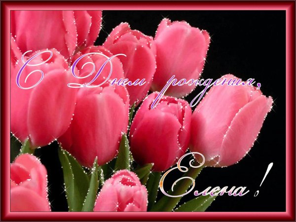 с днём рождения лена красивые открытки