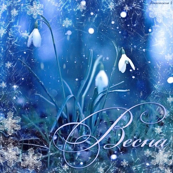 подснежники волшебные