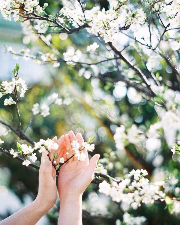 весенняя эстетика