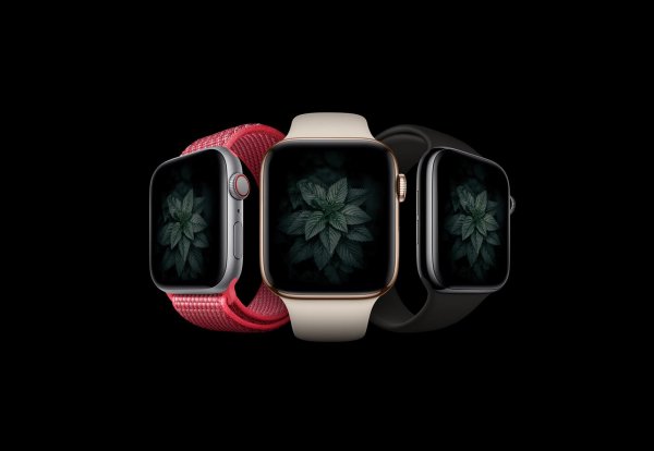 apple watch se