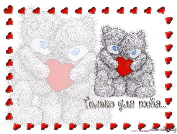 мишка тедди