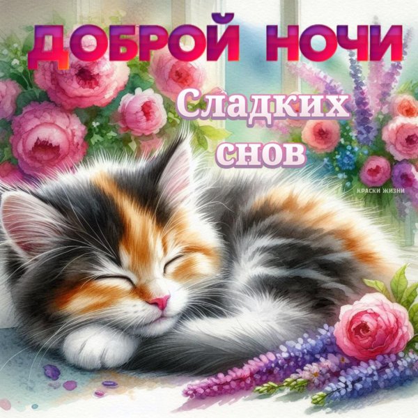 доброй ночи и сладких снов