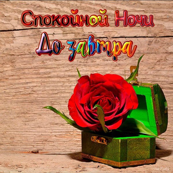 до завтра открытки