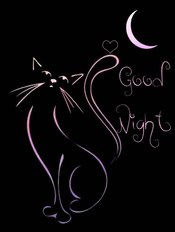 изящная кошка