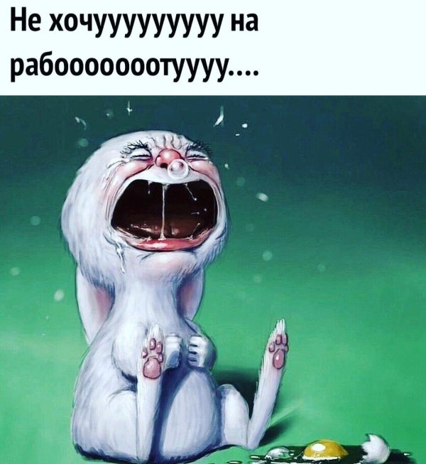 заяц плачет