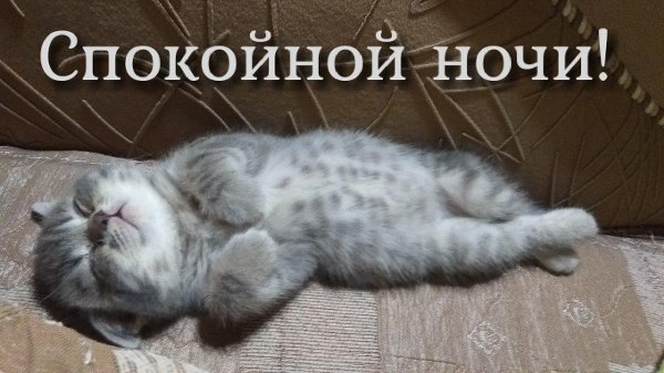 спать пора спокойной ночи