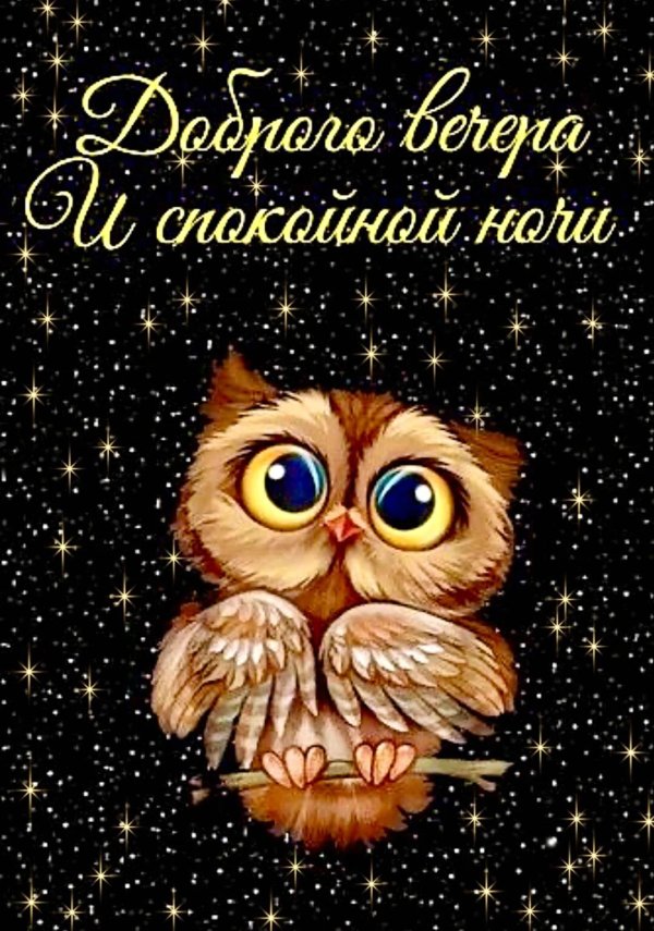 доброй ночи сова