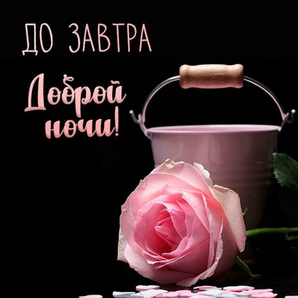 добрый вечер до завтра