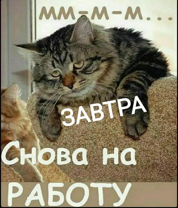 опять понедельник