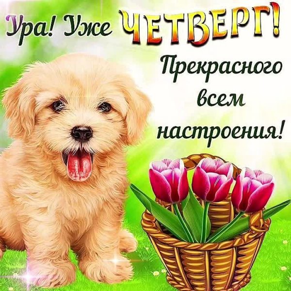 хорошего четверг