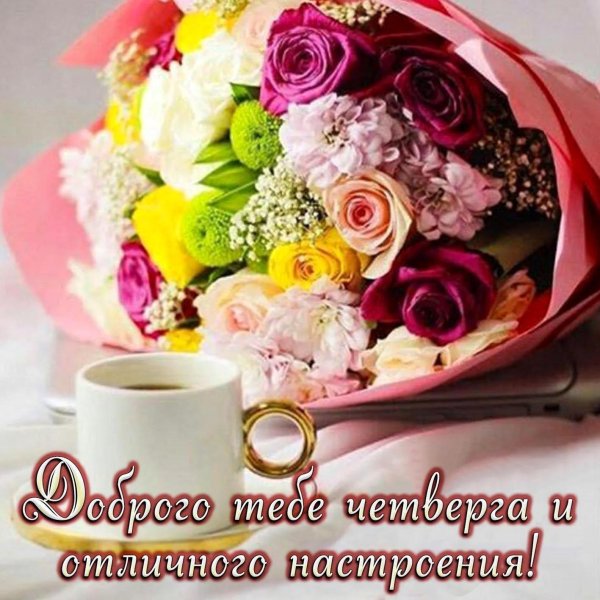 утро четверг