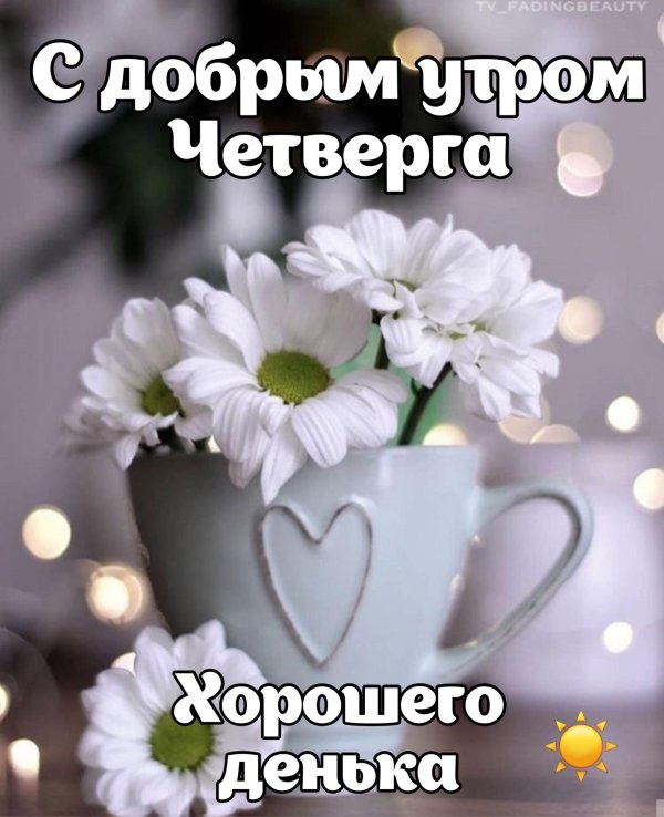 утро четверг